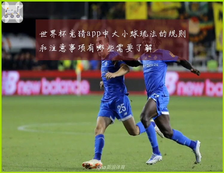 世界杯竞猜app中大小球玩法的规则和注意事项有哪些需要了解