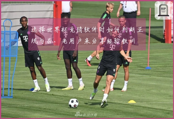选择世界杯竞猜软件时如何判断正规与否，老用户来分享经验教训