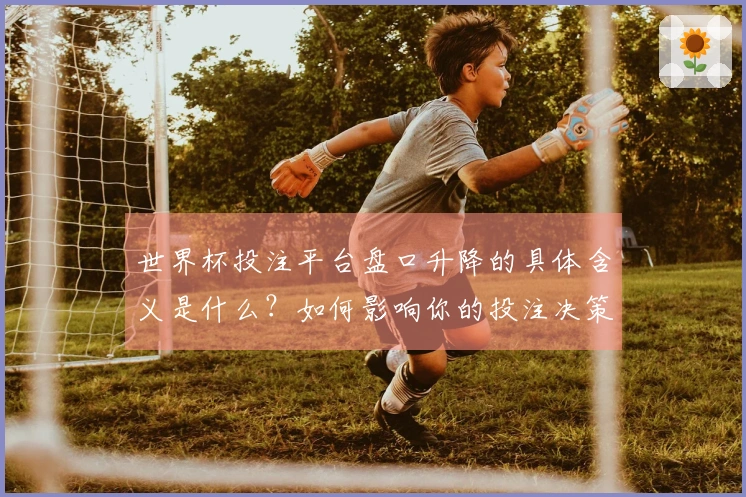 世界杯投注平台盘口升降的具体含义是什么？如何影响你的投注决策？