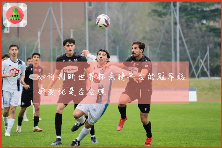 如何判断世界杯竞猜平台的冠军赔率变化是否合理