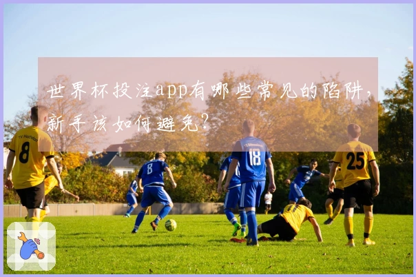 世界杯投注app有哪些常见的陷阱，新手该如何避免？