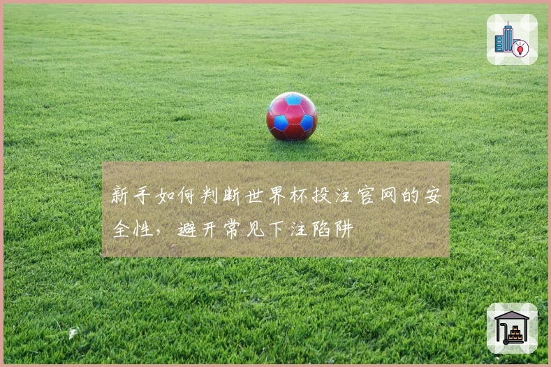 新手如何判断世界杯投注官网的安全性，避开常见下注陷阱